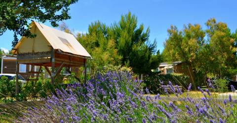 CAMPING LA PALME ***, tentes en Occitanie